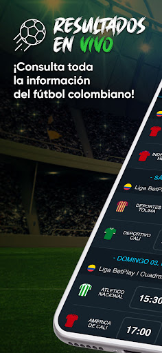 Vista previa de la aplicación