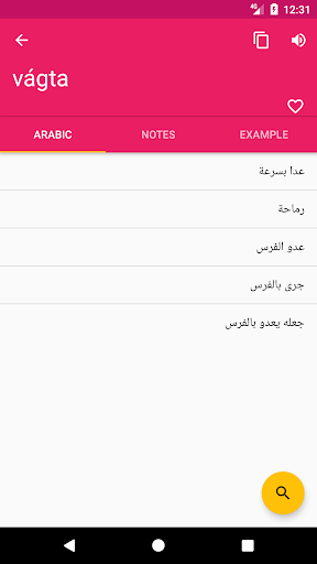 Arabic Hungarian Dictionary Screen 3