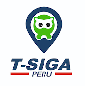 T-SIGA PERU