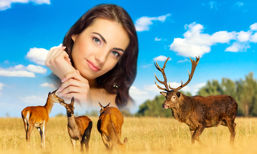 Wild Animal Photo Frames Screen 3