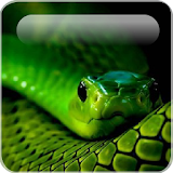 Forest Snake Live Wallpaper icon
