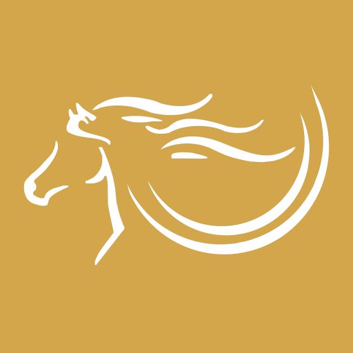 Al Awani Store logo