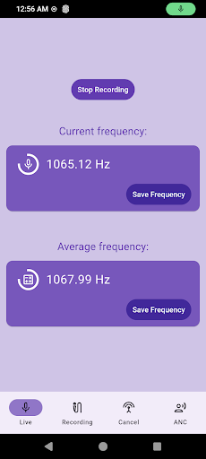Live Noise Cancellation Demo Screen 2