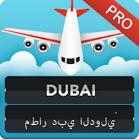 FLIGHTS Dubai Airport Pro