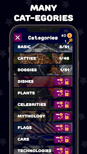 Word Mystery Cat Pat What