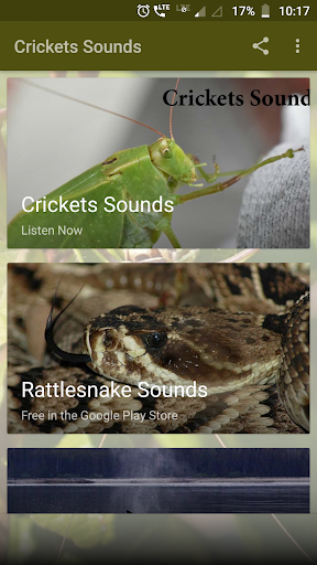 Android application Crickets Sounds screenshort