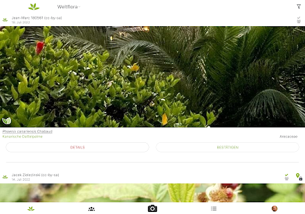Pl@ntNet Pflanzenbestimmung Screenshot