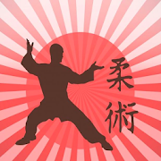 Jiu Jitsu - orange belt