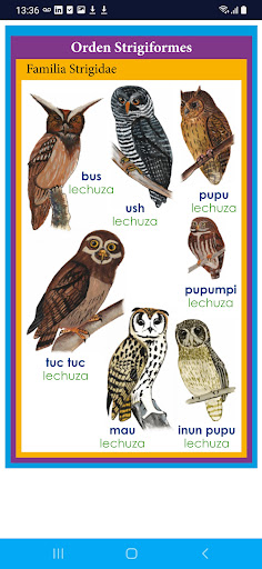 Animales Matsés Screen 3
