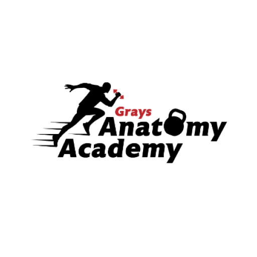 Grays Anatomy Academy logo