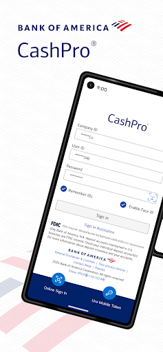 Screenshot of CashPro