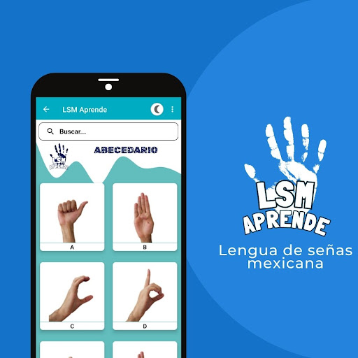 LSM Aprende Screen 3