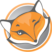 FoxyProxy VPN