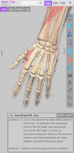 Master Tung Acupoint Screen 3