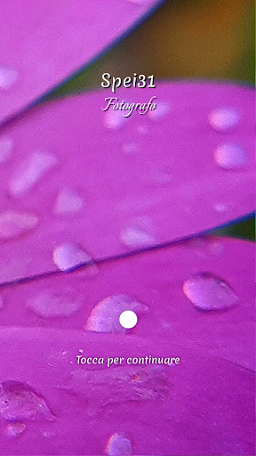 Android application Spei31 screenshort