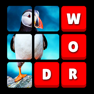 Word Grid - Connect The Words