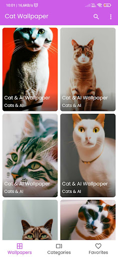 Cat Wallpaper Screen 2