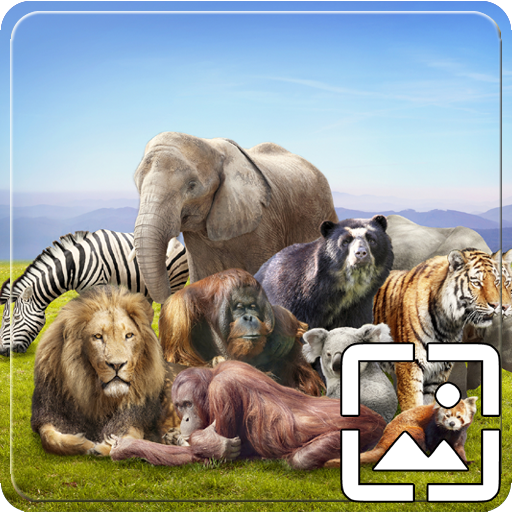 All Animals Wallpapers Hd logo
