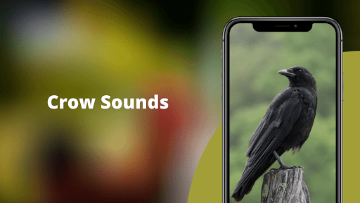 Android application Crow Sounds -Calls & Ringtones screenshort