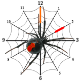 Spider Clock Widget icon