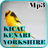 Kicau Kenari Yorkshire Mp3 icon