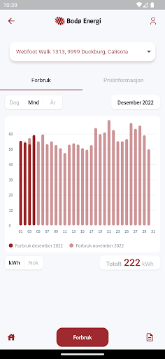 Bodø Energi Screen 2