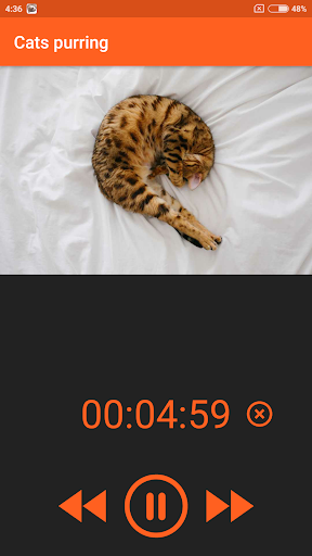 Cats purring Screen 3