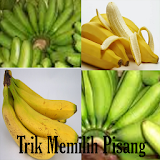 Tricks picking bananas icon