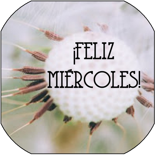 TU MIÉRCOLES SEA PRODUCTIVO logo
