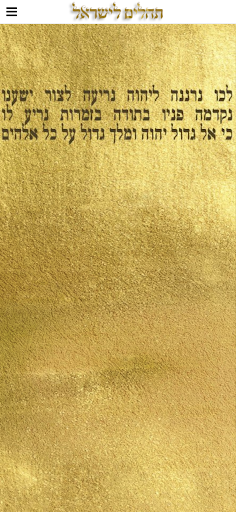 Vista previa de la aplicación