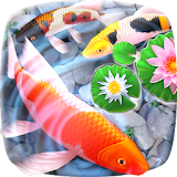 Koi Fish 3D Animated Live Theme icon