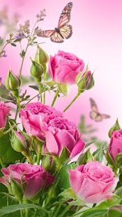 Rose Live Wallpaper For PC installation