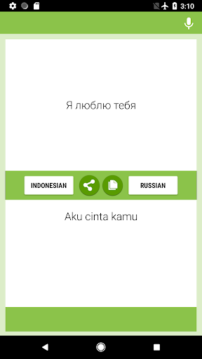 Indonesian-Russian Translator Screen 2