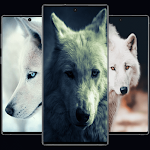 Cover Image of Download Animals HD Wallpaper-WOLF 4K  APK
