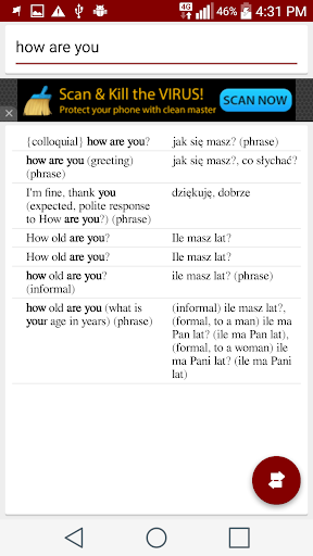 Polish English Dictionary Screen 2