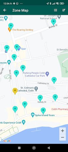 Cork County Council eParking Screen 2