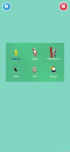 Learn animal name with picture
