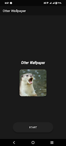 Otter Wallpaper