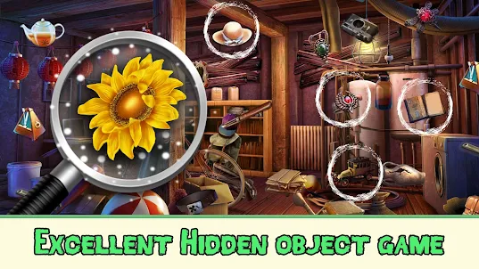 Detectiv World Hidden Object