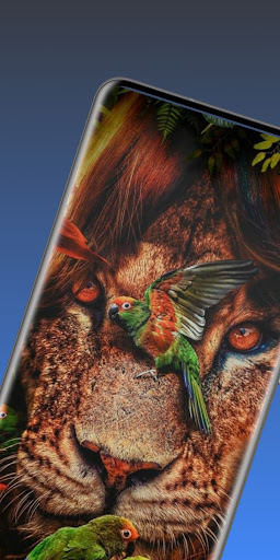 Android application animals wallpaper screenshort