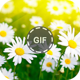 Flower Gifs icon