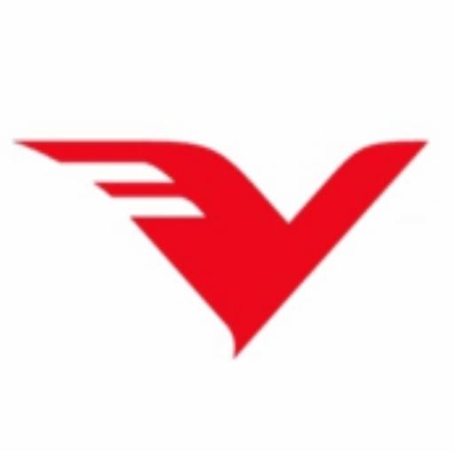Vision India Services logo
