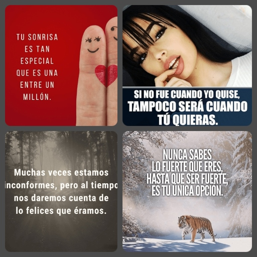 Frases Indirectas y Reflexión