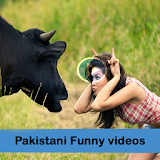 Pakistani Funny Videos Free icon
