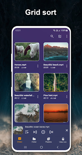 Screenshot of Video Player