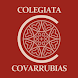 VISITA EXCOLEGIATA COVARRUBIAS - Androidアプリ