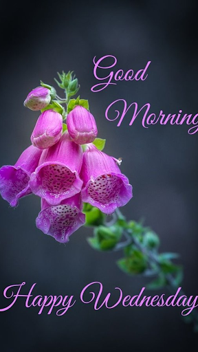 Everyday Blessings And Wishes Screen 3