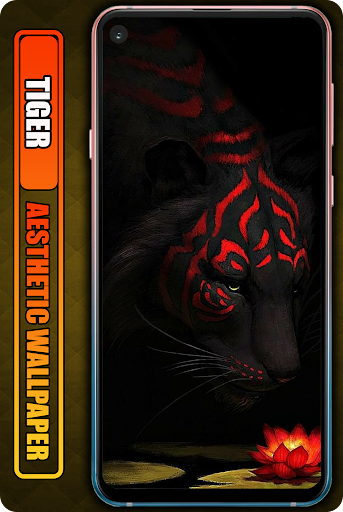 Tiger Aesthetic Wallpaper HD Screen 2