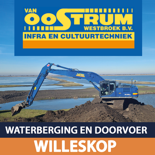 Willeskop