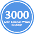 3000 English Words1.0.1